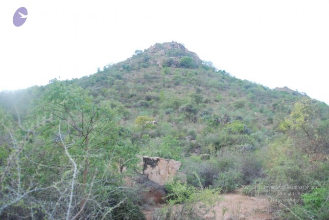 20090805 Photo 1059 1vy5DQnaNpq89AzY4ZqmYt20nA9wwT1yF.JPG