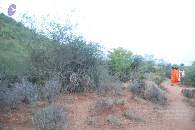 20090805 Photo 1060 1g-x viyJm3l1j9UfxHqYsvvwTfr1jZ7k.JPG