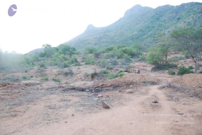 20090805 Photo 1097 1PLUZpZG5Slcf9od0eSpyujZpmuX4aHkQ.JPG