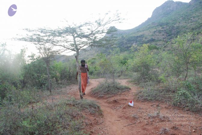 20090805 Photo 1137 18v92v4K4R88QvfRWW6dP53Mj9f4yYexz.JPG