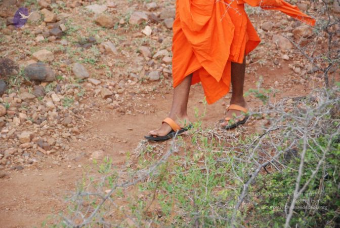 20090805 Photo 1144 1OEBzTS4YXxV3JwA2cBH4PdJ2iXSTNT9S.JPG