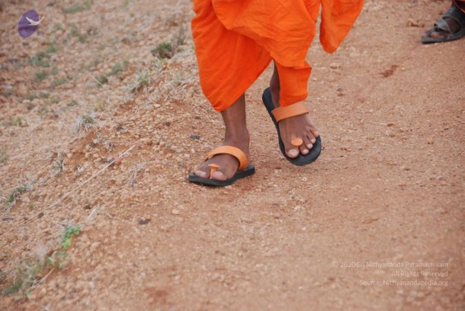 20090805 Photo 1158 1ziVNJpYDH5b7N38ZRwWEJOlWOzmCaNFD.JPG