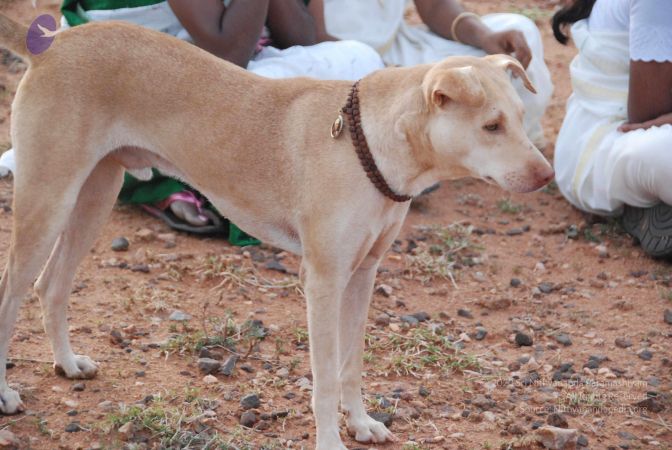 20090805 Photo 1181 1PzBBnN rBn-nAh3vD8gFygCb4OnjPBYE.JPG