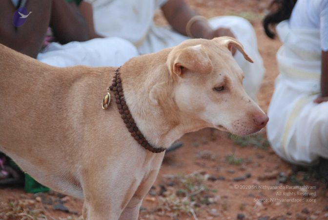 20090805 Photo 1182 1cGM3JsGAAlC-TuEO62CeI6106iUzI-vE.JPG