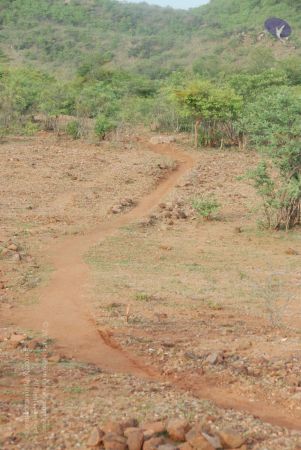 20090805 Photo 1217 1u4MTUjW0CYUKxvq87UZIBfkQuNH5-aPe.JPG