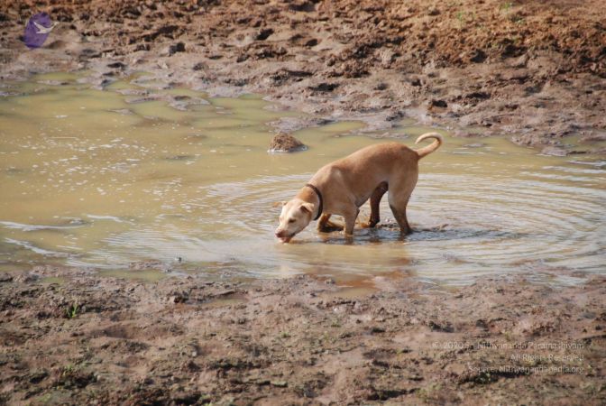 20090805 Photo 1256 10~Xj7T9768pW1scoHcvm0EytjCJDSqx.JPG