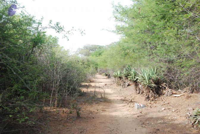 20090805 Photo 1277 12LinZcZGxkvCBUk9lEvDChzn8bk2S5nY.JPG