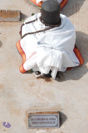 20090805 Photo 1298 1mV-ppulY Rj3AG8kjKrzF6XXJPfZtA~.JPG