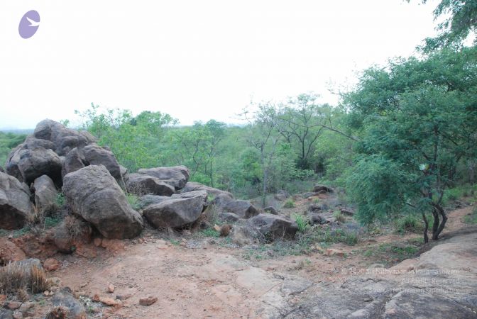 20090805 Photo 1401 1gW au2m36JjSn0hDEKpVJ0ZvF9em1NMr.JPG