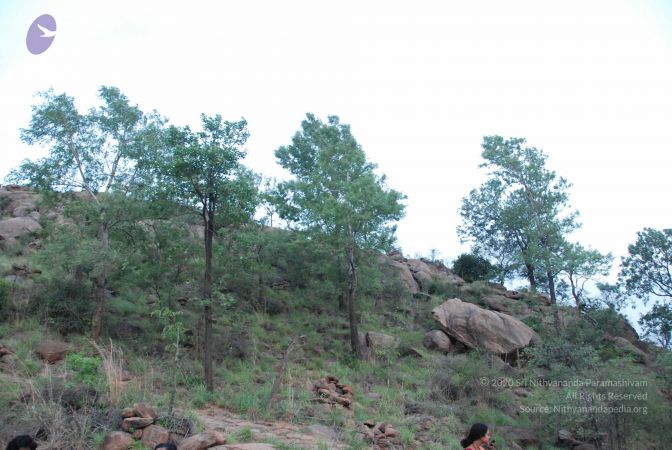 20090805 Photo 1408 1fT1T07kYekc125ilzBeqqDvNSQMqUG2d.JPG