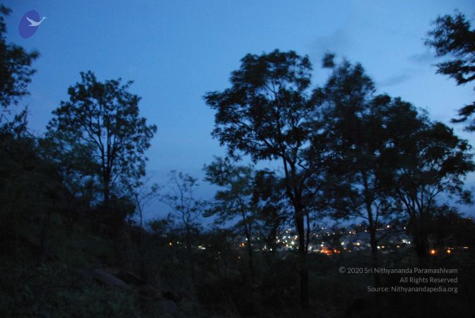 20090805 Photo 1445 1JRAOJ9DnImMjhD zaNVNMRy4jvPyFMwi.JPG