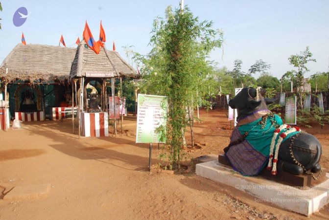 20090806 Photo 1005 1Uzv-v4fIALvED-u 5ZVpTVTsA5V6z Gw.JPG