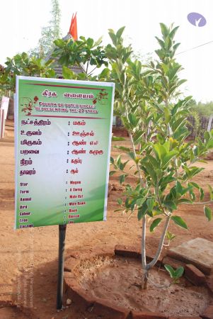 20090806 Photo 1008 1cL4WuQ4ehZZnjK2-LZrmVen4YElG7UR7.JPG