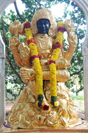 20090808 Photo 1104 1yfRMNyMWkjjA8Dl6BLUWcGx-xVxRBpwB.JPG