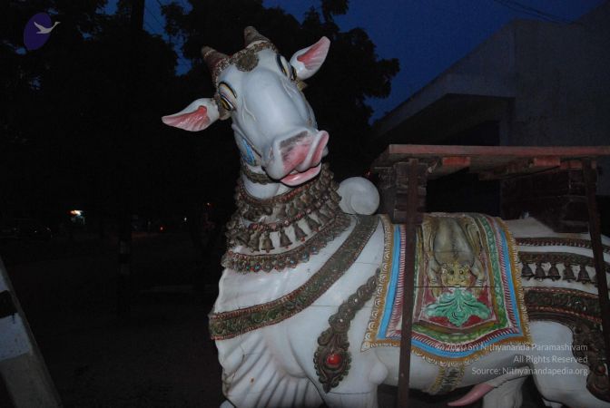 20090808 Photo 1492 1CJUpsYHZHxzGUyREGV66 p0fbWt0LbR-.JPG