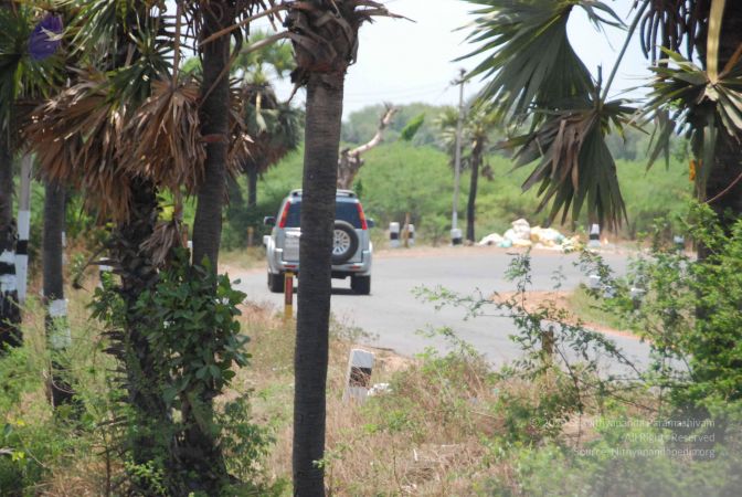 20090811 Photo 1027 1phAPJ2zmZMSbcuzfyG4bkgdb272Evff9.JPG