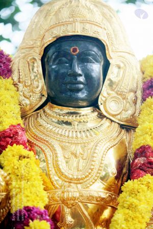 20090822IMG 6142 CMP WM001.jpg