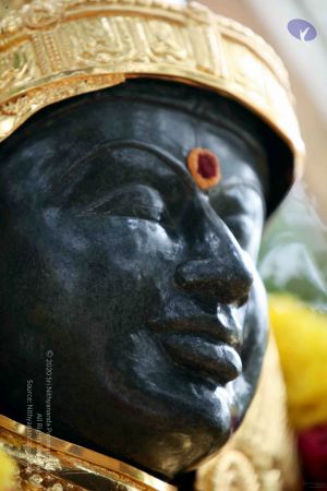 20090822IMG 6149 CMP WM001.jpg