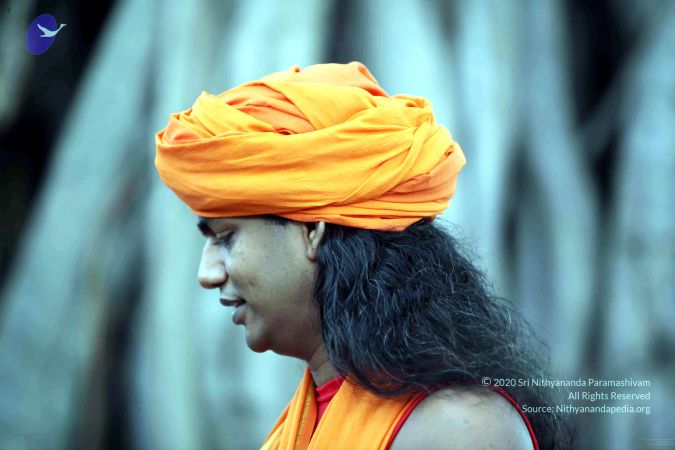 20090822IMG 6198 CMP WM001.jpg