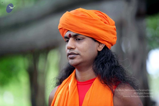 20090822IMG 6206 CMP WM001.jpg