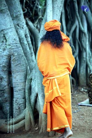 20090822IMG 6275 CMP WM001.jpg