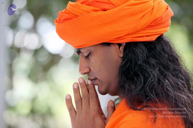 20090822IMG 6346 CMP WM001.jpg