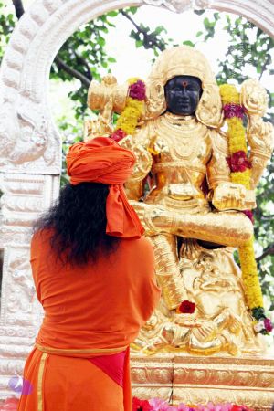 20090822IMG 6357 CMP WM001.jpg