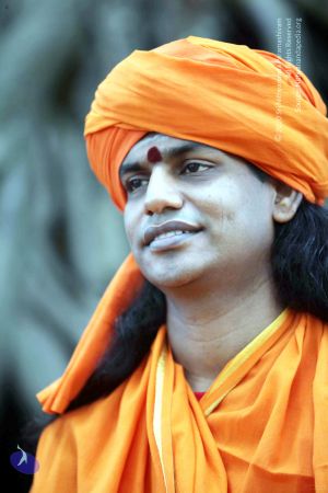 20090822IMG 6471 CMP WM001.jpg