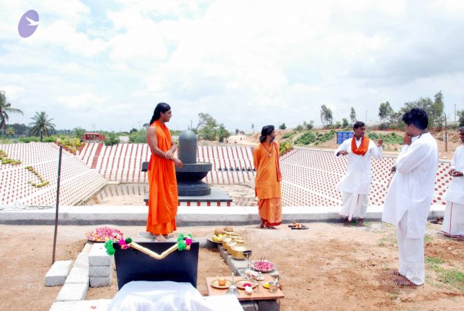 20090827 DSC 0300 CMP WM0001.jpg