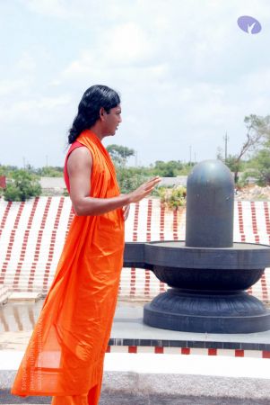 20090827 DSC 0302 CMP WM0001.jpg