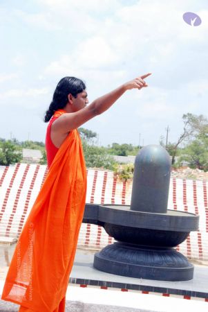 20090827 DSC 0303 CMP WM0001.jpg