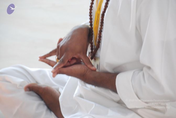 20090829 Photo 1004 1m5Yf zhZxQkblL3fwV84LPrQRMYdMknb.JPG