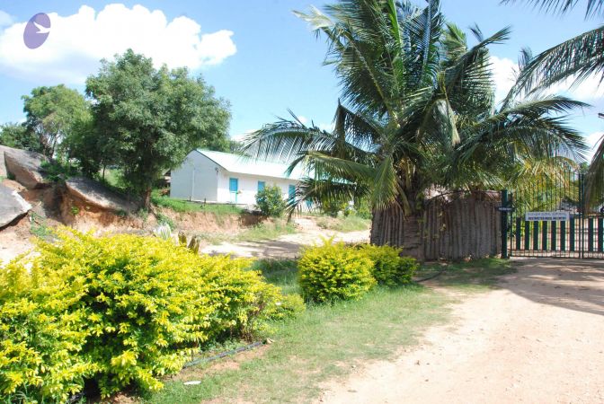 20090829 Photo 1187 1d8vZyR15W4xXk0a5ptPTLBLIzrvTB 24.JPG