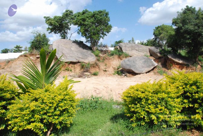 20090829 Photo 1190 11gcpb2x4wMykNTzbwRzJDBhEofFKMjGO.JPG