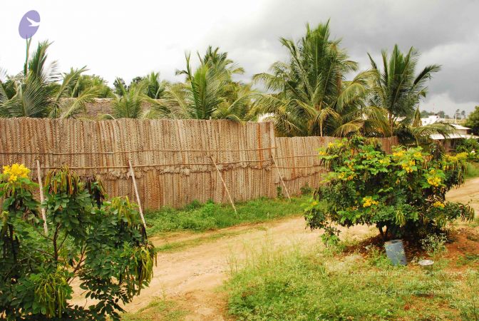 20090902 Photo 1078 1X nqDx7BIgCOYlpyadoC5nEgArVTKd0F.JPG