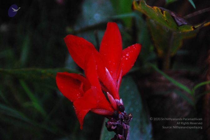 20090902 Photo 1084 1bwkqFXE9gzqCQJGCnCk4NbxXhwhQKUSs.JPG