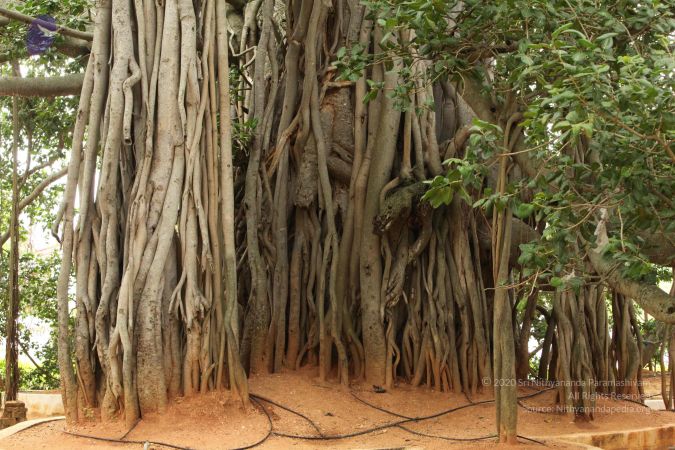 20090905 Photo 1002 1KlfSzLT7Pzfbv7dScTr2-ZtnzSRKyp9S.JPG