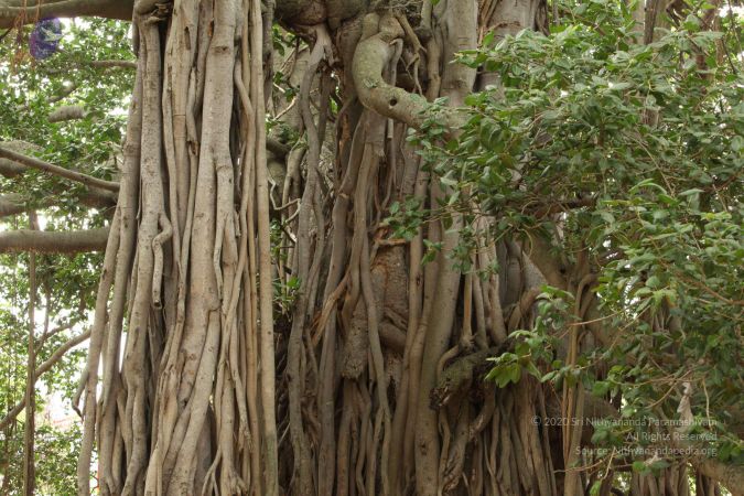 20090905 Photo 1006 1AtZuopDClxq4WBryCwKnpVsN SeMRzYn.JPG