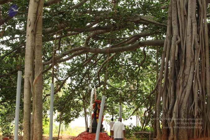 20090905 Photo 1030 1VMFzeb8YIA0L5Qk41B24Gb5CBQ xrJQK.JPG