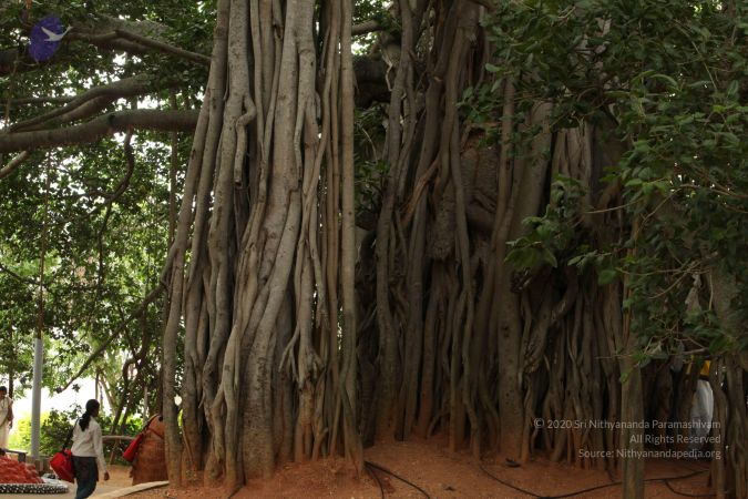 20090905 Photo 1036 1eMdm9 fcxq3Rrpiq576klY1-QDLFY6GO.JPG