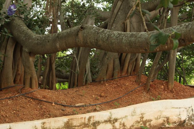 20090905 Photo 1053 1vQTmQ1vdrqtk20vSRN4WT2wK X8oJ7Cj.JPG