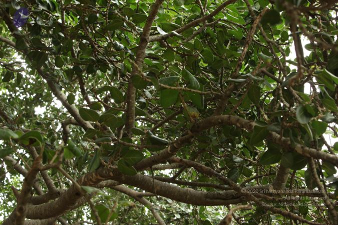 20090905 Photo 1063 105cknfXiL4RDpESsMmxjPHbvVWPmPShx.JPG