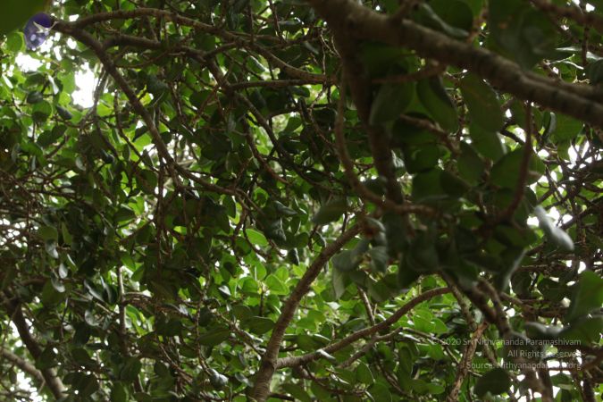 20090905 Photo 1064 1QDpBY1qI8AsSuYH0vHGFagzgObNu5qFY.JPG