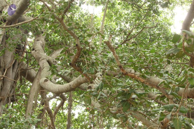 20090905 Photo 1075 1fgCIqNLcMCqz-XaTtk-gnpxq9J9GKxYU.JPG