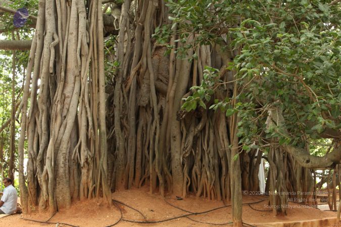 20090905 Photo 1076 1yjuZh3tttcvr7z Gxafo3zhO1QVSnN6n.JPG