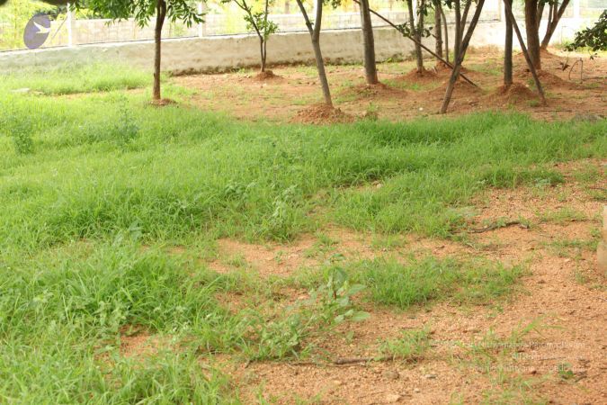 20090905 Photo 1083 1EEzL0IfeF5WUb7nMyeABG55Weqw5nnk0.JPG