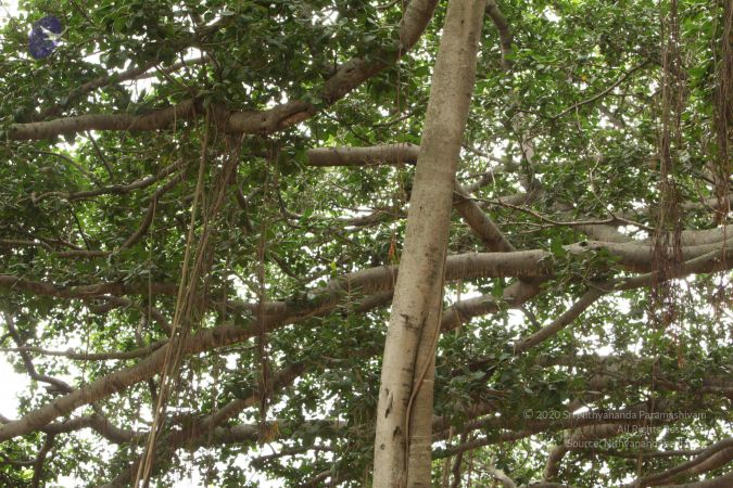 20090905 Photo 1086 1PIUYCwaI0Os5qUCrXUFuZu75gvQDnzdn.JPG