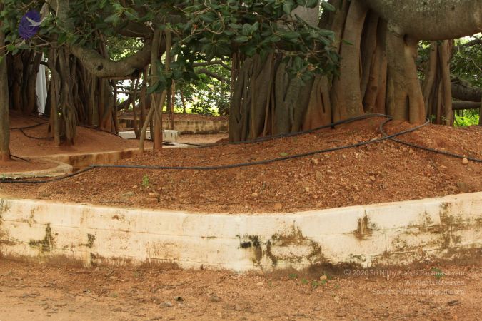 20090905 Photo 1108 1K4dY7ElBR1hCNJ2FQ9TTAnMNCpVp7n0j.JPG