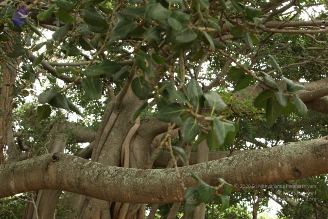 20090905 Photo 1121 1qh vT8CBT8mEA2lTSX8kLk1rm7-Gg8cK.JPG