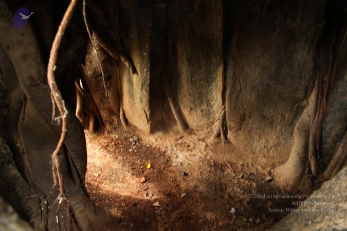 20090905 Photo 1130 1poLKLwUTLqrTXzGfnOWQbTPDMfKHQC8d.JPG